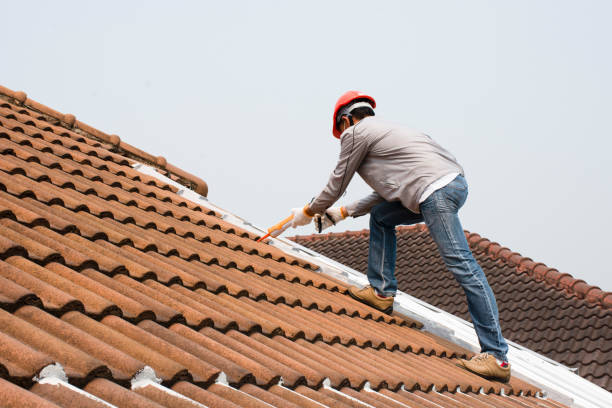 Best Roof Installation  in Bonny Doon, CA